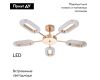 Потолочная люстра Arte Lamp Ovale A2489PL-5GO