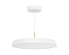 Подвесной светильник Arlight SP-ELEGANT-R500-37W Day4000 (WH, 120 deg, 230V) 033924(1)