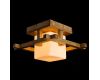 Потолочный светильник Arte Lamp 95 A8252PL-1BR