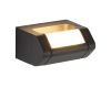 Фасадный светильник ST Luce Protech SL9540.701.01