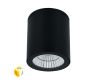 Уличный потолочный светильник Arte Lamp Torcular A1313PF-1BK