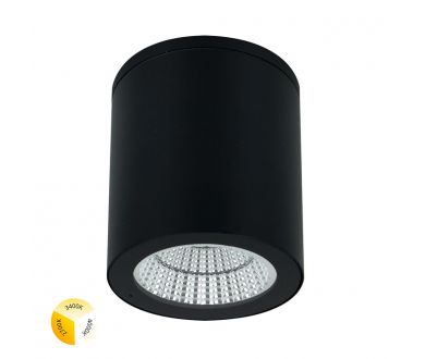 Уличный потолочный светильник Arte Lamp Torcular A1313PF-1BK