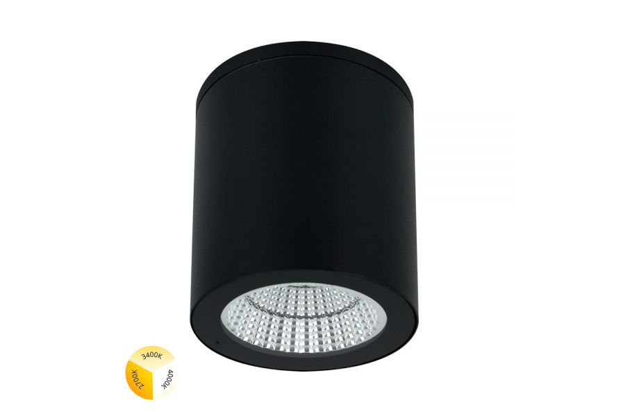 Уличный потолочный светильник Arte Lamp Torcular A1313PF-1BK