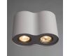 Потолочный светильник Arte Lamp Falcon A5633PL-2WH