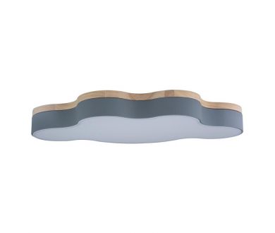 Потолочный светильник Loft IT AXEL 10005/36 Grey