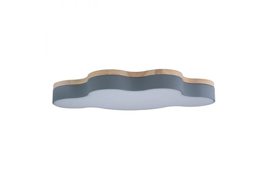 Потолочный светильник Loft IT AXEL 10005/36 Grey