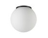 Уличный потолочный светильник Odeon Light Nature Viva 7124/1C