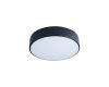 Потолочный светильник Loft IT AXEL 10002/12 Black