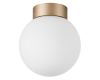 Потолочный светильник Lightstar Globo 812013