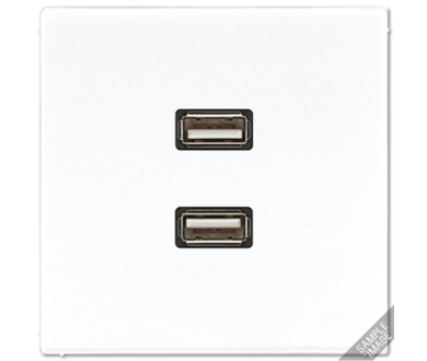 Розетка USB Jung MALS1153