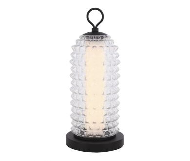 Настольная лампа ST Luce Saguaro SL6144.404.01