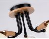 Потолочная люстра Ambrella Light Modern TR4733