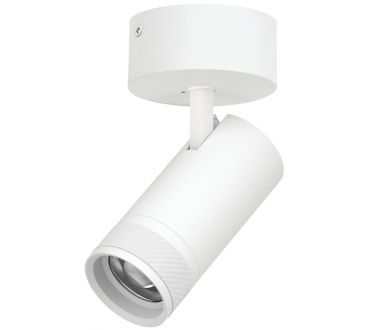 Накладной светильник 20-55G с адаптером Lightstar Canno Pro C4306SO