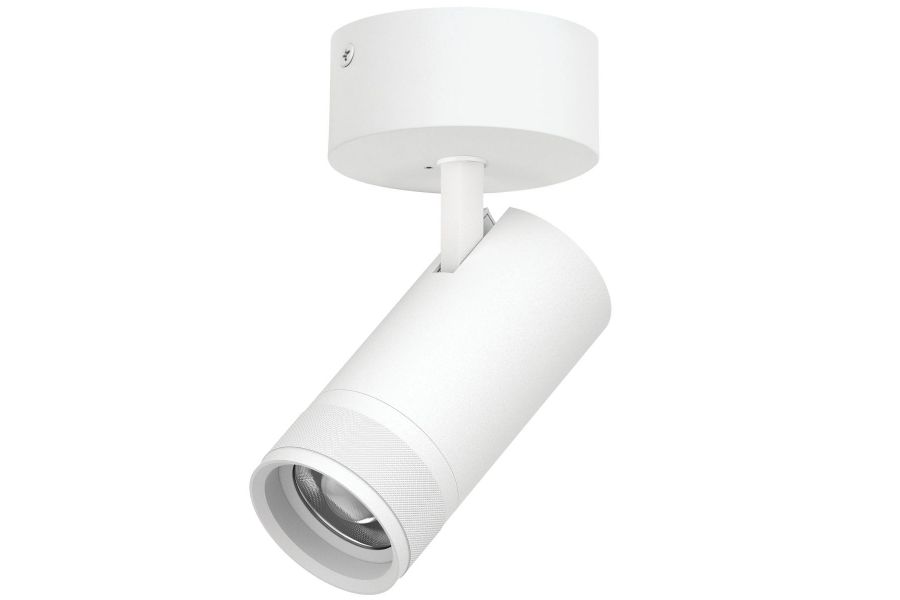 Накладной светильник 20-55G с адаптером Lightstar Canno Pro C4306SO