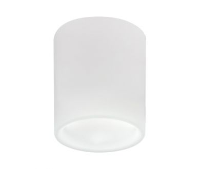 Накладной светильник Lightstar Solido E27 216626