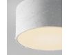 Уличный потолочный светильник Maytoni Zon IP O430CL-L15W3K