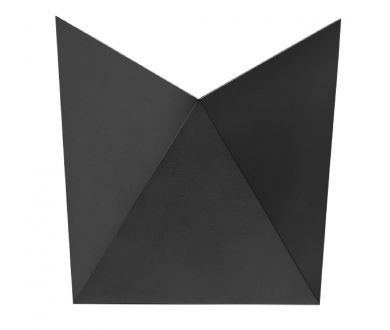 Архитектурный светильник Arte Lamp Busta A1609AP-1BK