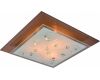 Потолочный светильник Arte Lamp A4042PL-3CC