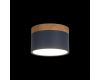 Накладной светильник Loft IT Grape 10162 Blue