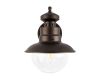 Уличный настенный светильник Loft IT Piemonte 100022W