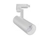Трековый светодиодный светильник Escada 20029TRA/02LED SWH