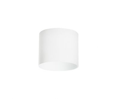 Накладной светильник Lightstar Rullo 213486