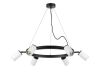 Подвесная люстра Lightstar Rullo (571016+214436-6) LR016366