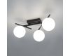 Настенно-потолочный светильник Citilux Dorsy CL223132