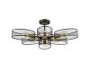Люстра на штанге Lumion Comfi Vivana 8153/6C