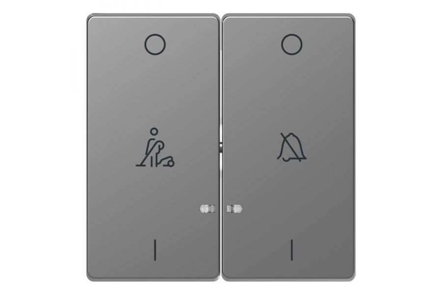 Клавиша двойная Schneider Electric Merten D-Life MTN3429-6036