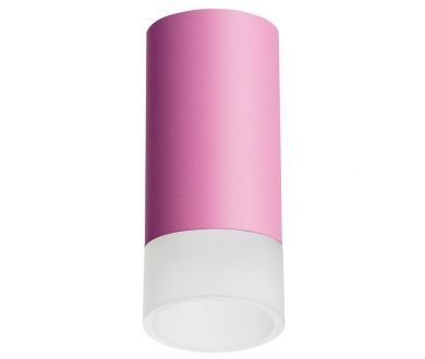 Накладной светильник Lightstar Rullo R43231 (214432+202431)