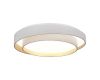 Потолочный светильник Evoluce Crosby SLE6009-502-01
