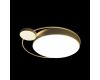 Потолочный светильник Loft IT Mike 10063