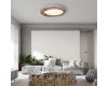 Потолочный светильник ImperiumLoft Runis 219478-26