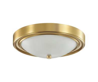 Настенно-потолочный светильник Lumion Vintage 5259/2C