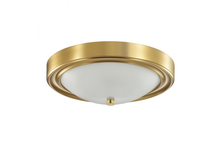 Настенно-потолочный светильник Lumion Vintage 5259/2C