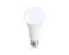 Светодиодная лампа Ambrella Light Bulbing E27 25W 6400K 652506
