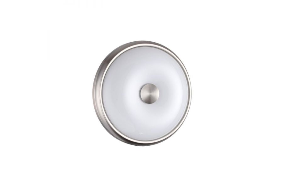 Настенно-потолочный светильник Odeon Light Pelow 4957/2