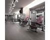 Трековый трехфазный светильник Arlight LGD-TUBE-TURN-4TR-L600-20W Warm3000 (BK, 180 deg, 230V) 036298(1)
