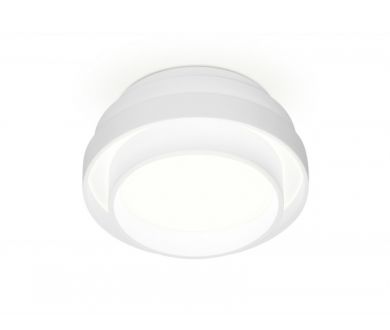 Накладной светильник Ambrella Light TN601