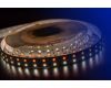 Светодиодная лента DesignLed DSG5120-24-RGB+NW-33 001205