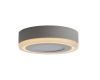 Потолочный светодиодный светильник Arte Lamp Antares A7824PL-2WH