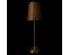 Настольная лампа Loft IT Hilton 10527T Brass