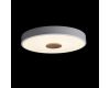 Потолочный светильник Loft IT AXEL 10003/24 White