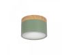 Накладной светильник Loft IT Grape 10162 Green