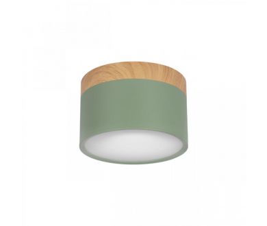 Накладной светильник Loft IT Grape 10162 Green