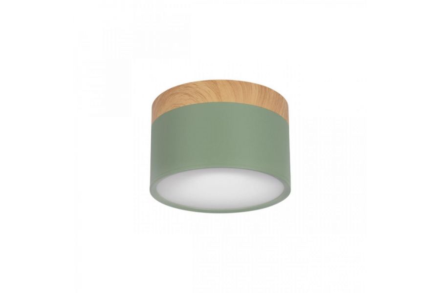 Накладной светильник Loft IT Grape 10162 Green