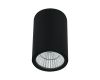 Уличный потолочный светильник Arte Lamp Torcular A1807PF-1BK