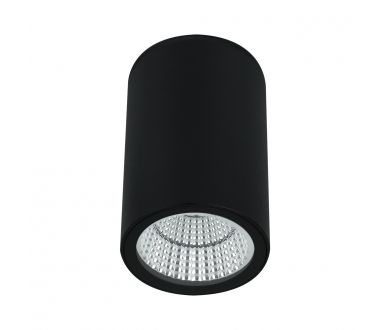 Уличный потолочный светильник Arte Lamp Torcular A1807PF-1BK