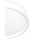 Потолочный светильник Citilux Boss CL751350G